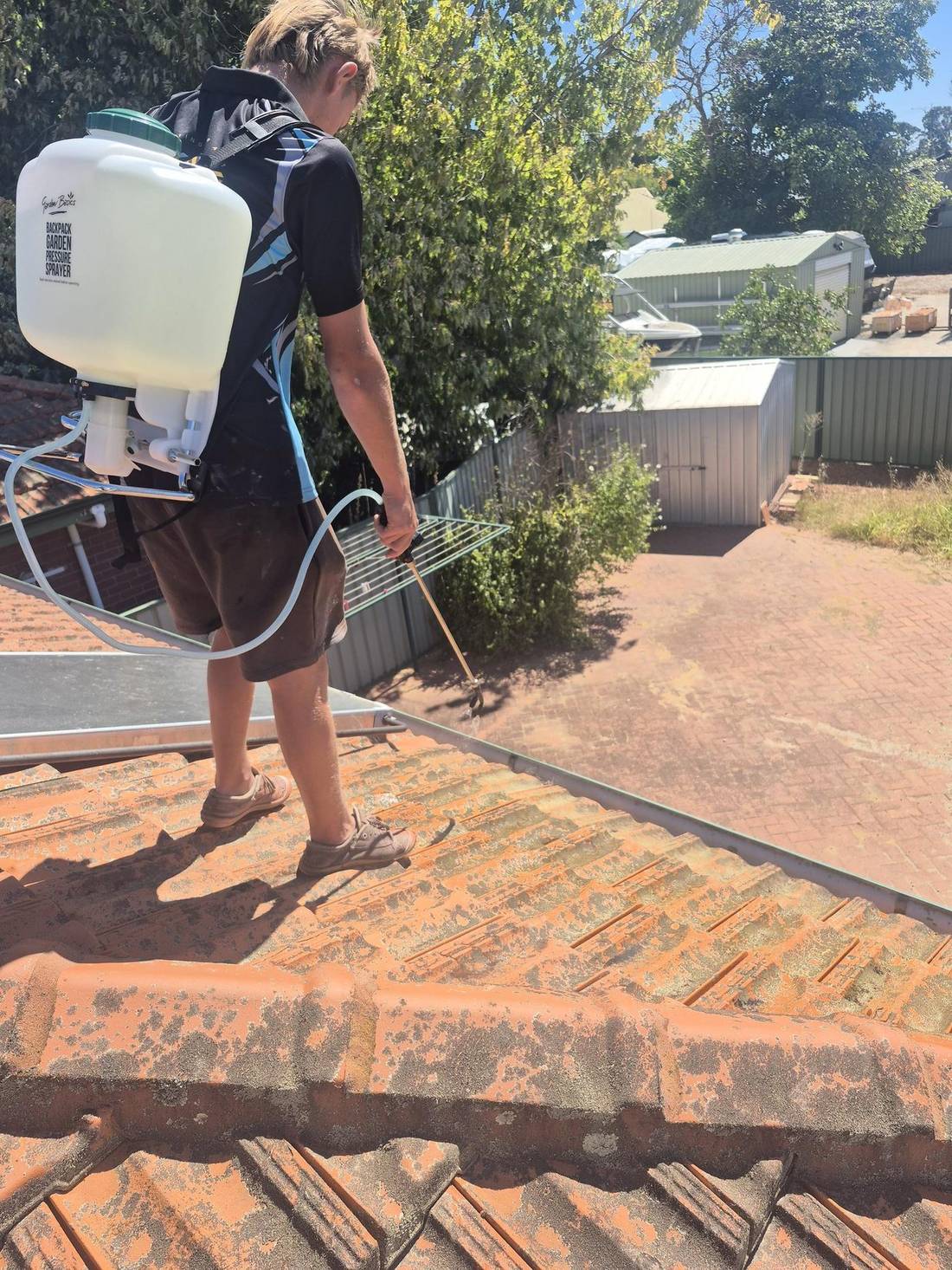 Spraying a fresh coat across a terracotta roof