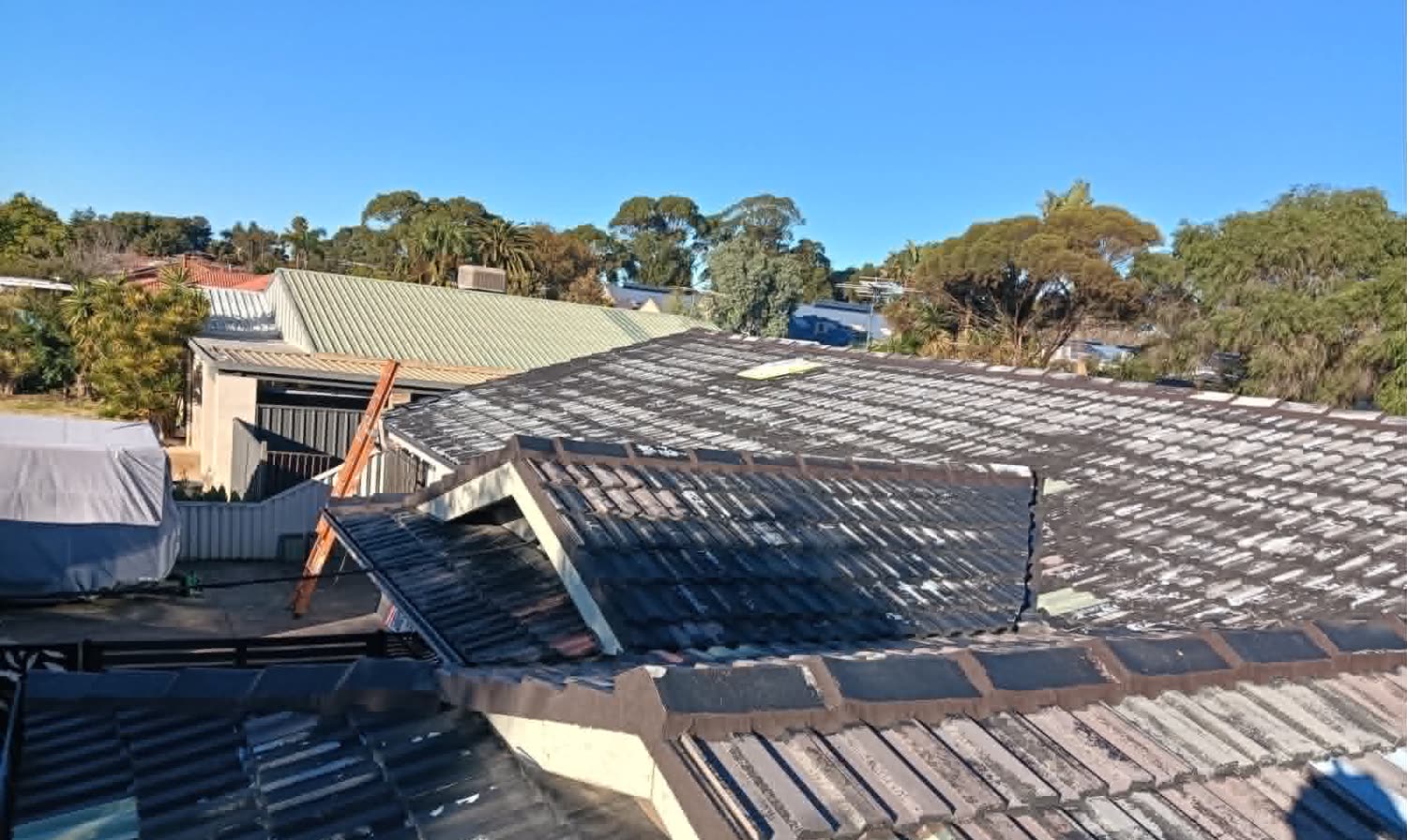 Before: the same tile roof dark with moss and years of weathering