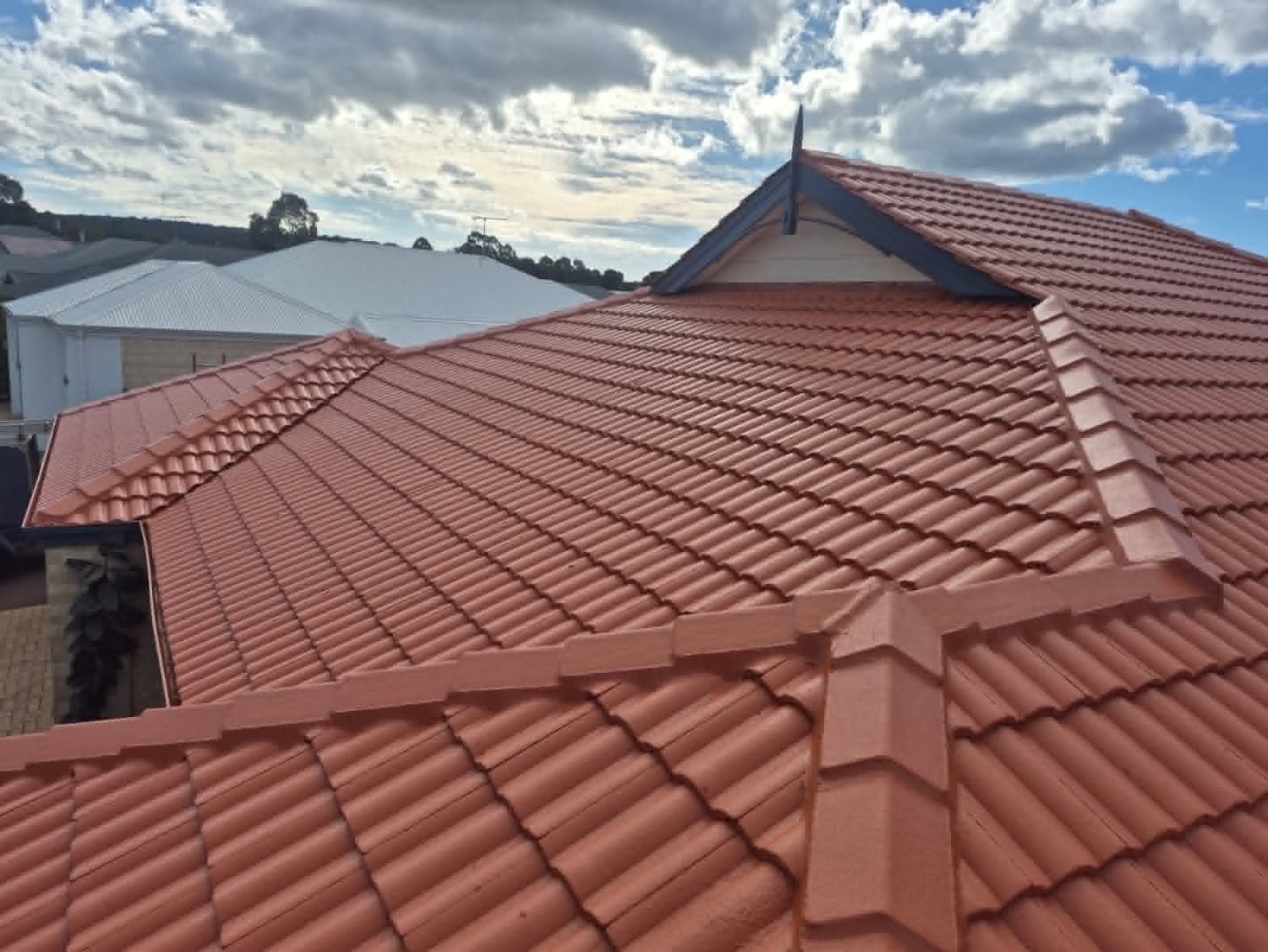 After: the terracotta tile roof cleaned, sealed and recoated to an even finish