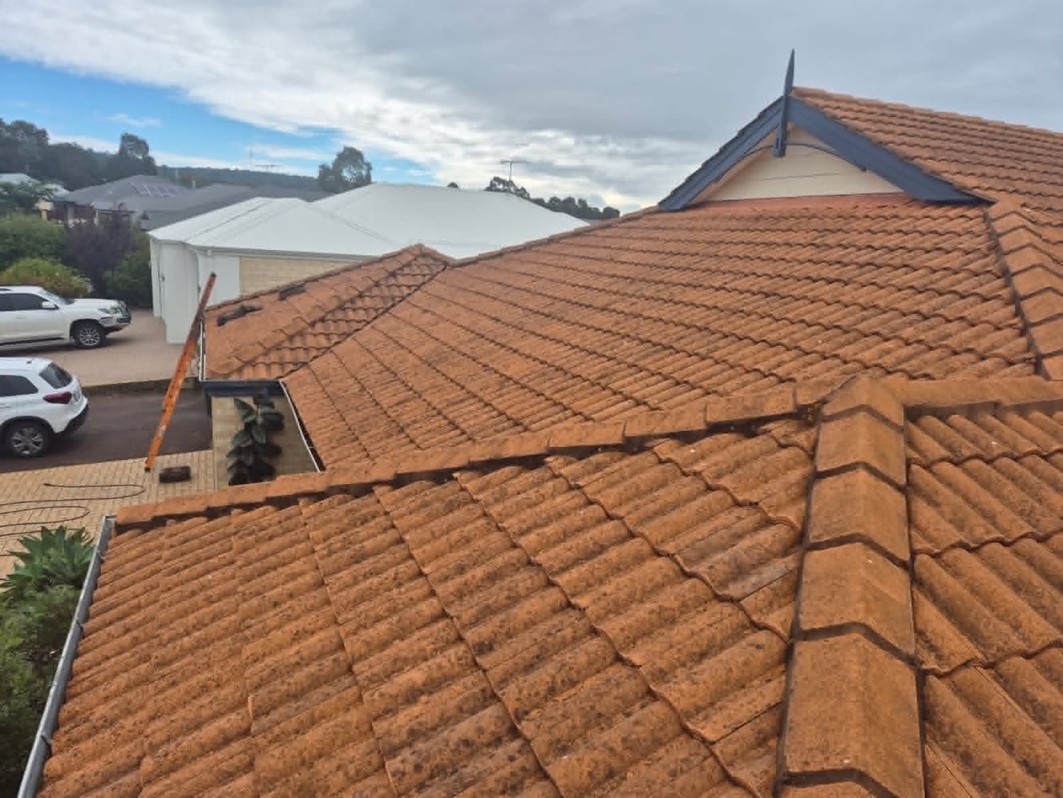 Before: the same terracotta tile roof weathered, stained and covered in growth