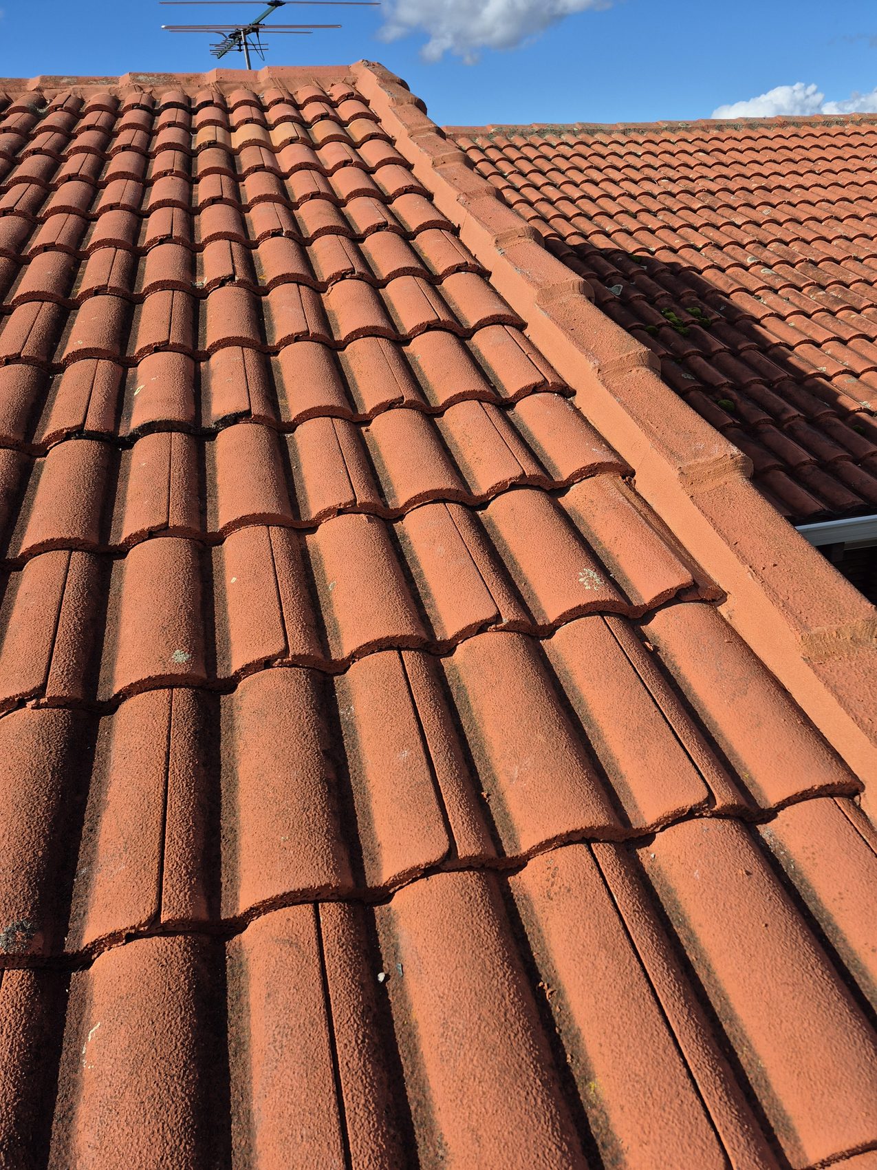 Restored terracotta tiles catching the late afternoon light